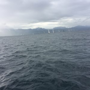 Flotte Ruban Bleu 2019