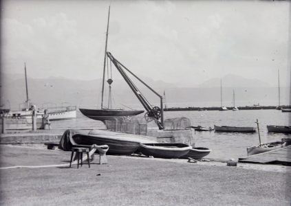 Grue du CVL