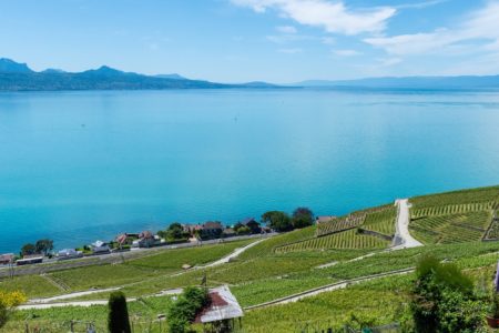 LGSA: traversées du lac à la nage